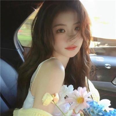 护国驸马爷一国驸马护山河